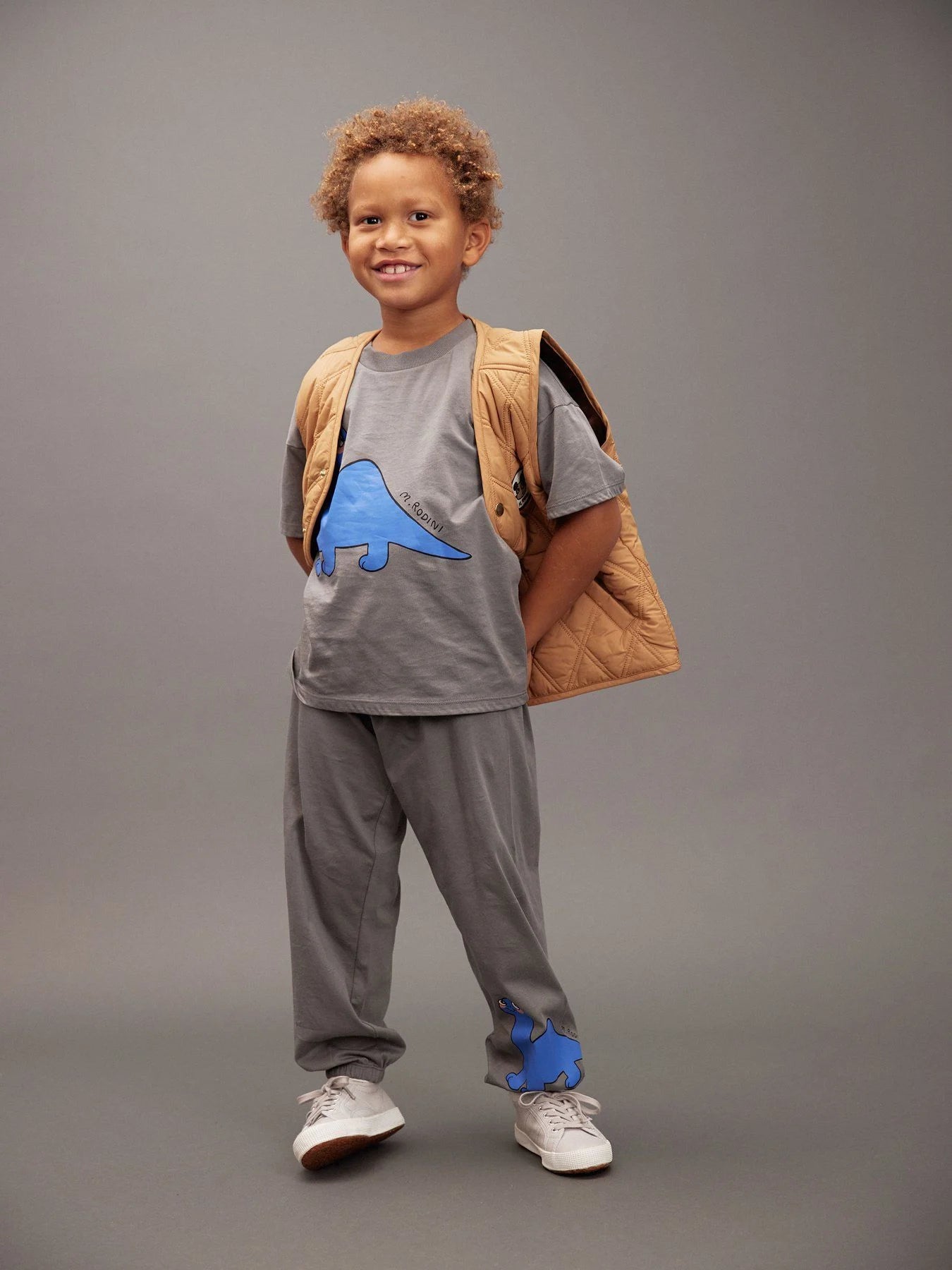 Dino T-Shirt, SP SS Tee, Chapter 2, Grå - Mini Rodini