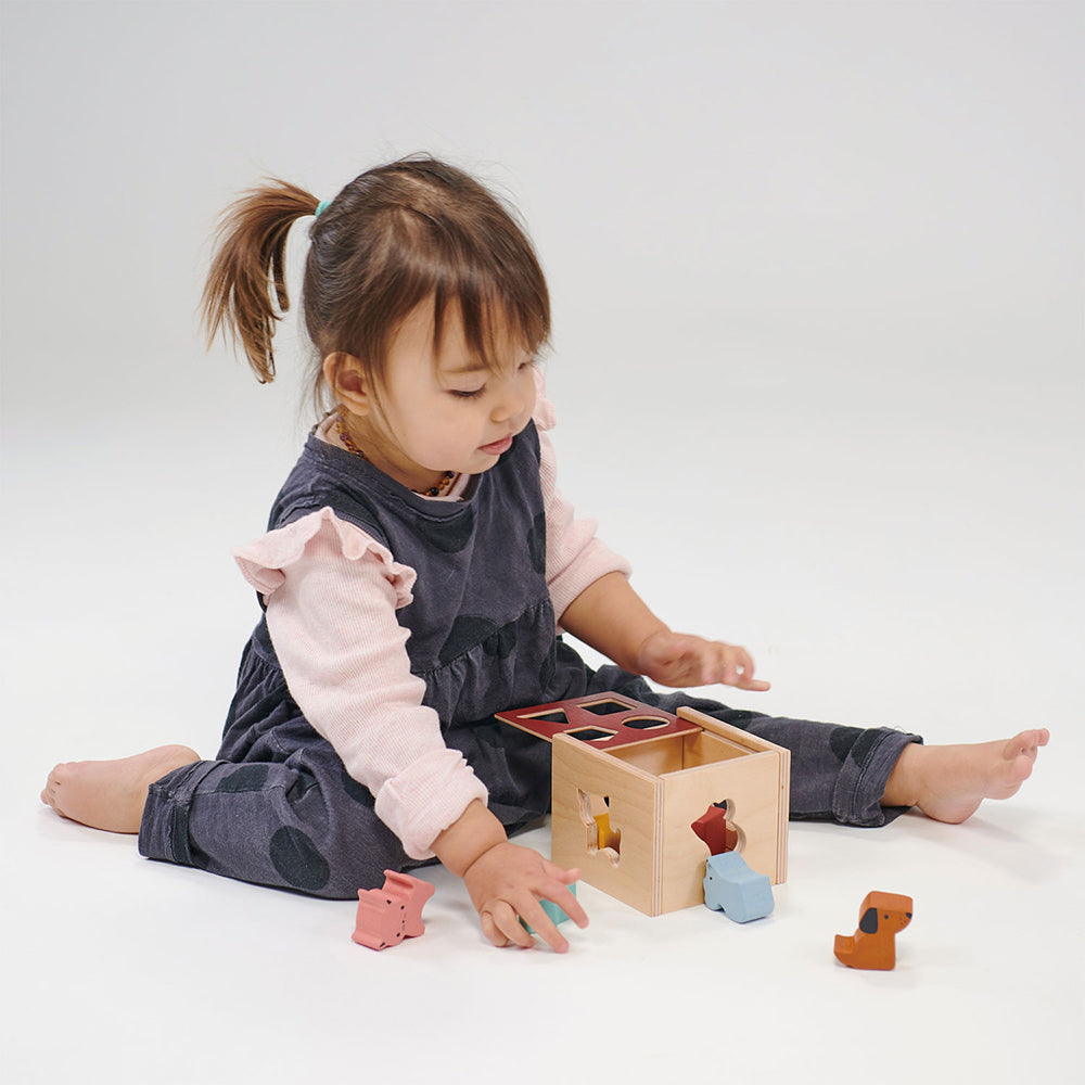 Sorteringskub, Shape Sorting Cube, Bambino - Mentari