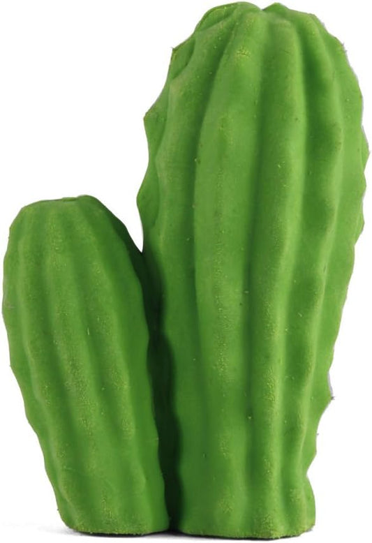 Suddgummi, Kaktus - Kikkerland