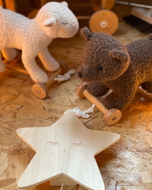 Dragleksak Nalle Raoul (Brun) - Egmont Toys