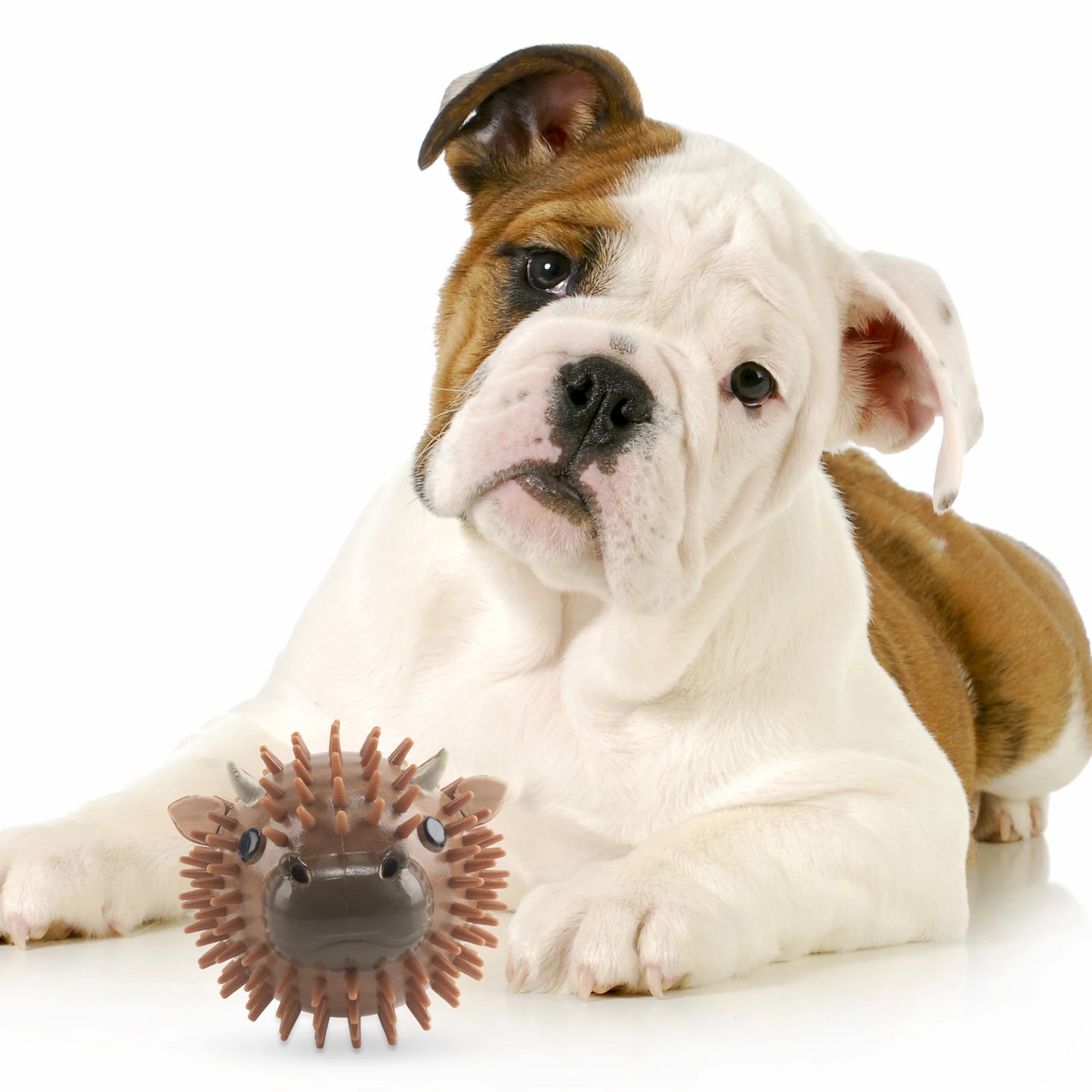 Boll för Hundar, Ko med Nötköttsmak - Kikkerland