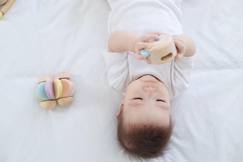 Peekaboo-a-boo Roller - PlanToys