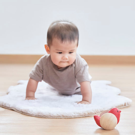 Bird Roller Classic toy - PlanToys