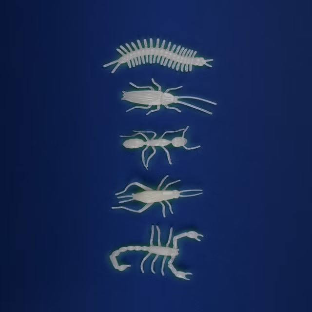 Självlysande insekter, Insects, Glow In The Dark, Les Petites Merveilles - Moulin Roty