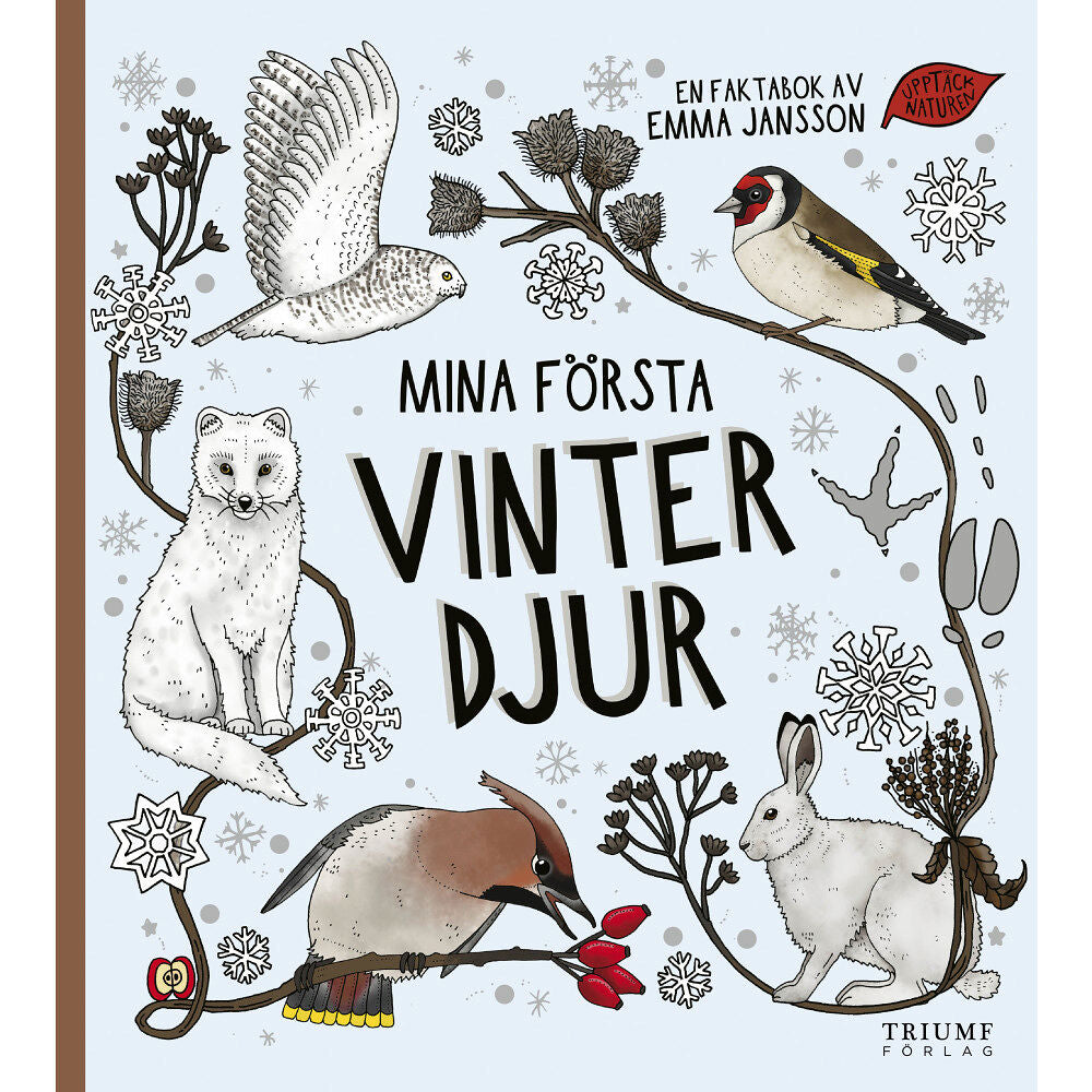 Mina Första Vinterdjur