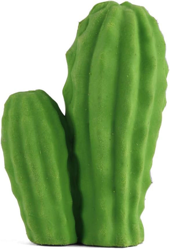 Suddgummi, Kaktus - Kikkerland