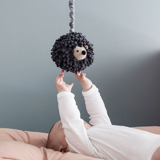 Speldosa Edvin, Igelkotte Stella - Kids Concept