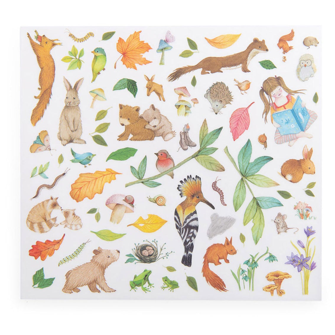 Transfers/Gnuggisar, Les Rosalies