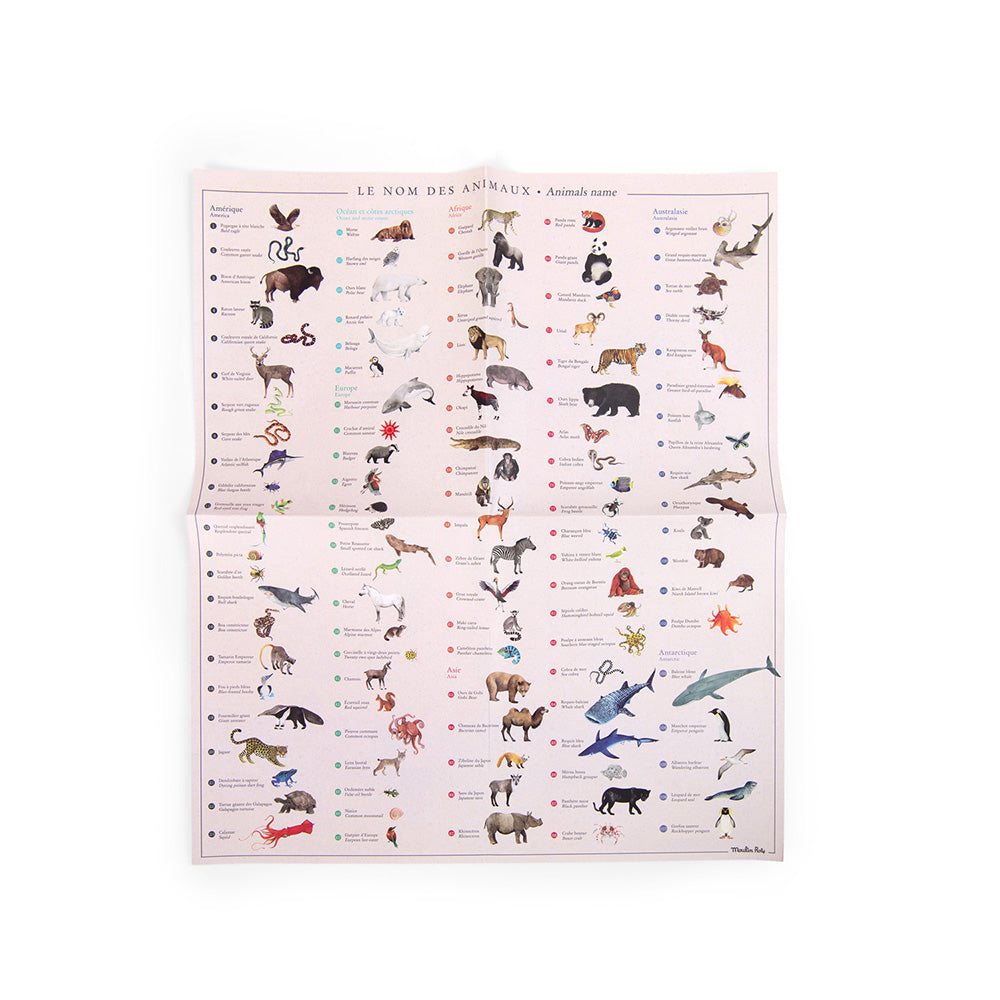 Världskarta med Gnuggisar, Tout Autour Du Monde