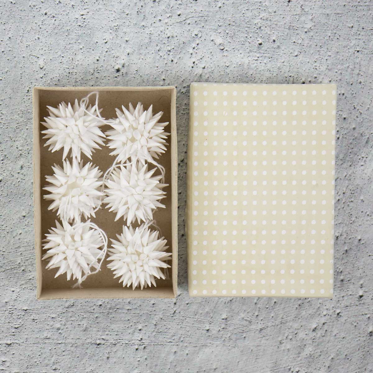 Kottar, Vita, 6-Pack - AfroArt