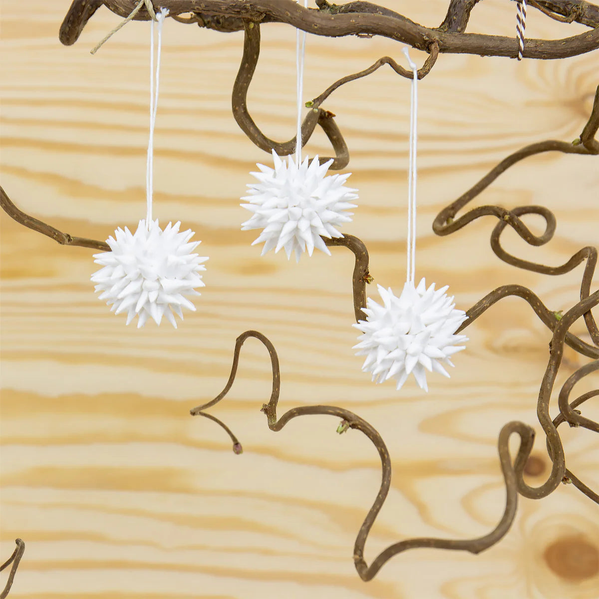 Kottar, Vita, 6-Pack - AfroArt