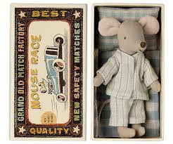 Big brother mouse in matchbox