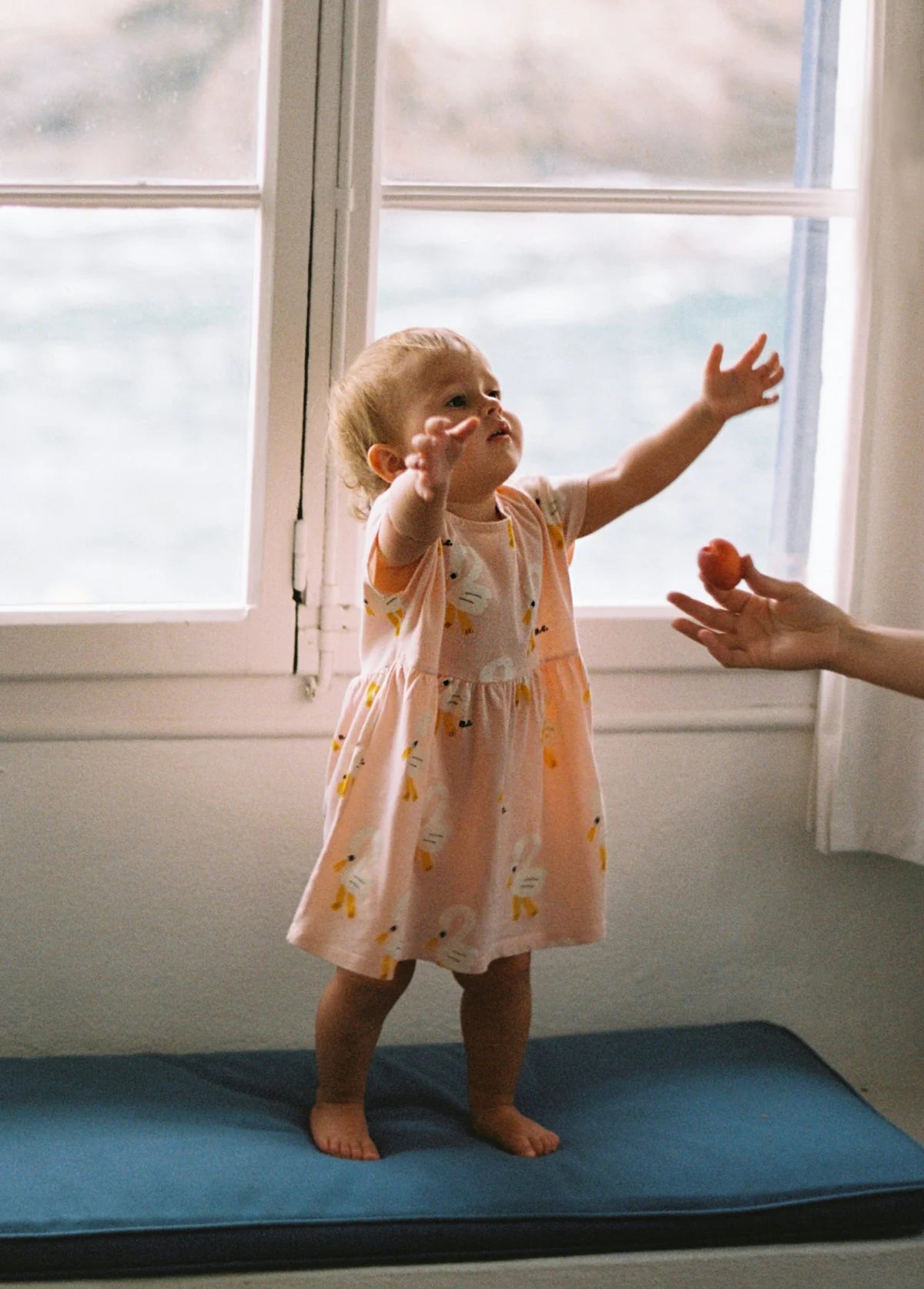 Klänning, Pelican All Over - Bobo Choses