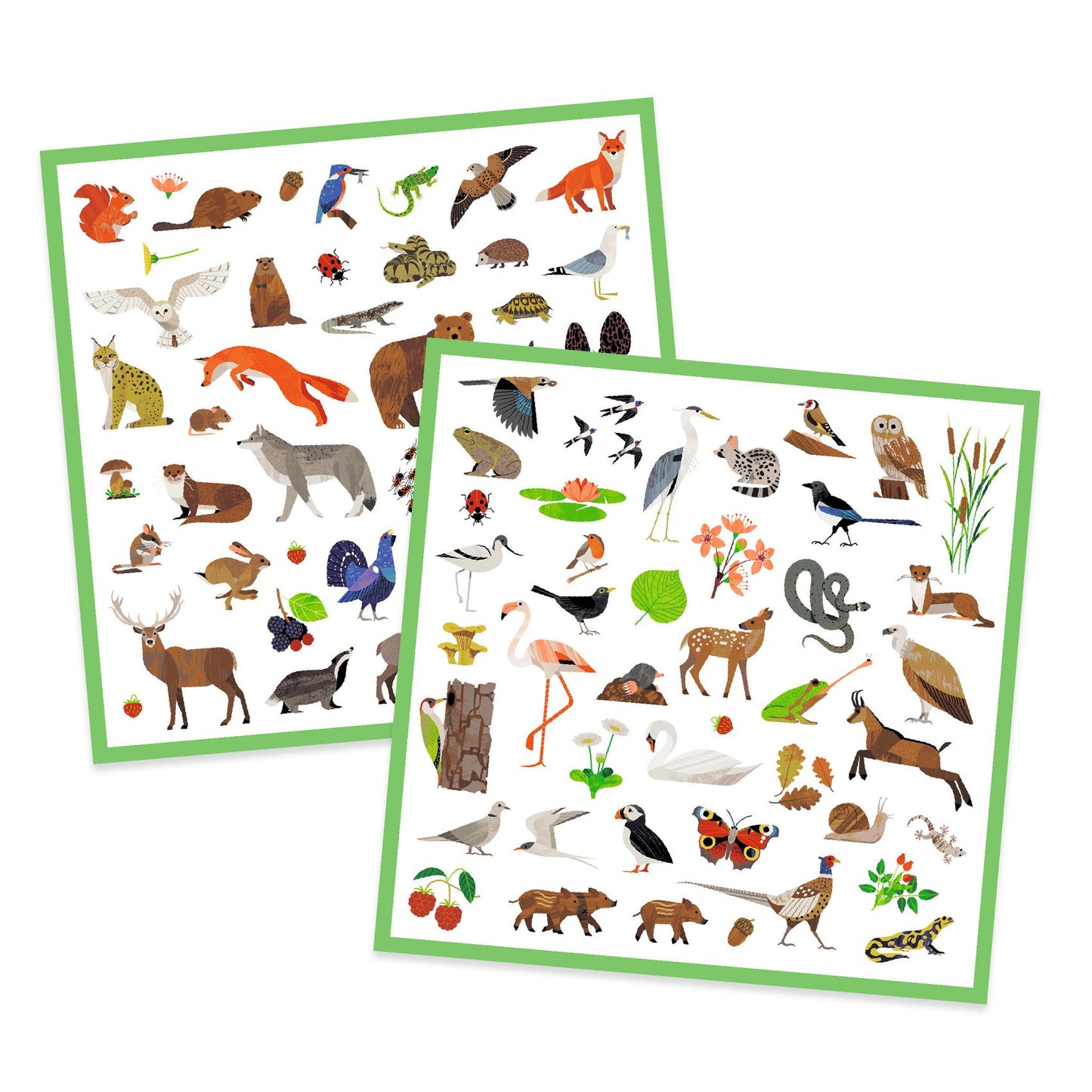 Stickers, Fauna - Djeco