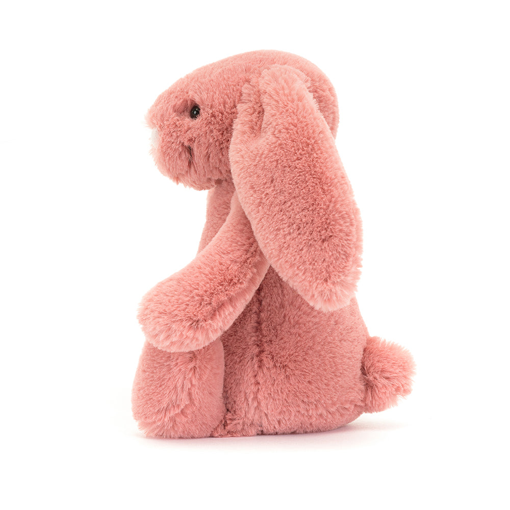 Bashful Sorrel Bunny Little