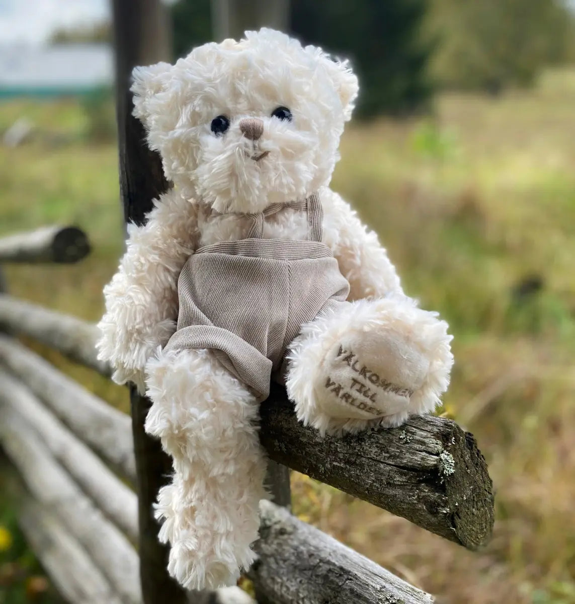 Nallen Lilla Gossen "Välkommen till världen" - Bukowski